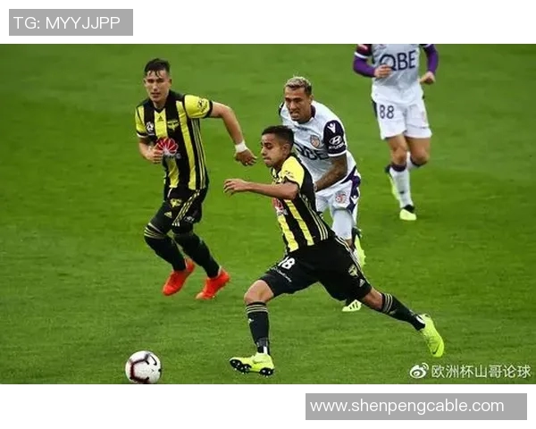 2018年墨尔本城对阵惠灵顿精彩回顾与赛后分析