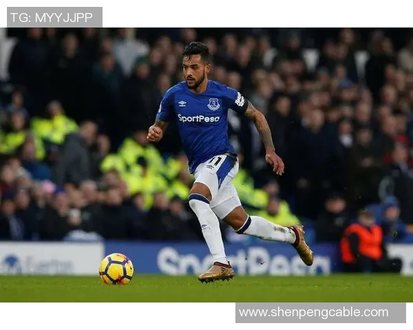 埃弗顿对阵热刺精彩赛事直播全程回顾与分析 埃弗顿对阵热刺精彩赛事直播全程回顾与分析