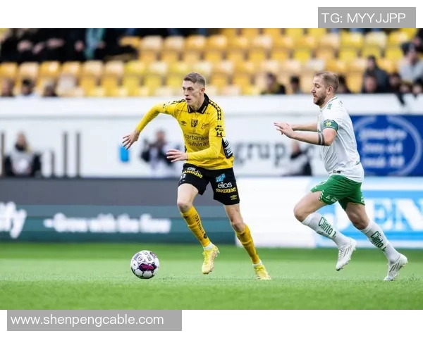 埃尔夫堡与赫尔辛堡的对决分析及赛季前景展望 埃尔夫堡与赫尔辛堡的对决分析及赛季前景展望