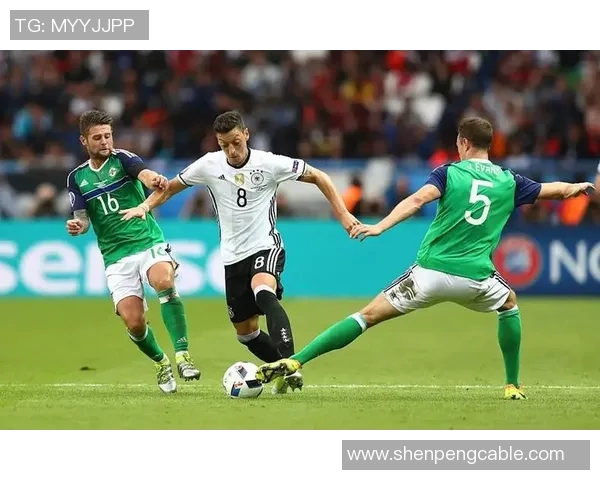 爱尔兰与丹麦足球对决精彩回顾与赛前分析 爱尔兰与丹麦足球对决精彩回顾与赛前分析