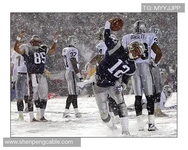 太阳再胜狐狸，保持季后赛希望