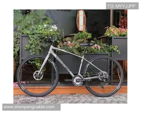 探索美利达台湾官网全新骑行体验与产品推荐 探索美利达台湾官网全新骑行体验与产品推荐