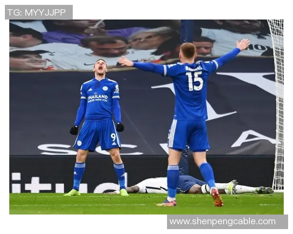 热刺与莱斯特城精彩对决集锦回顾赛场瞬间尽显足球魅力与激情 热刺与莱斯特城精彩对决集锦回顾赛场瞬间尽显足球魅力与激情