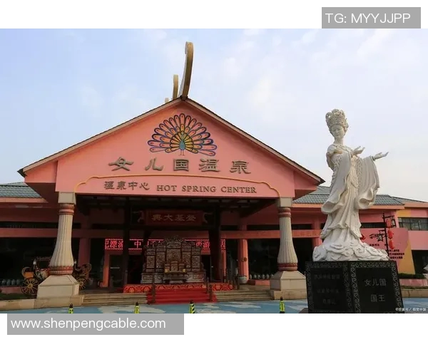 苏伟的奋斗历程与人生哲学探索：从平凡到卓越的心路历程