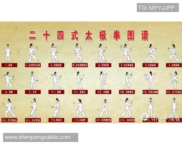 探索和式太极拳的魅力与哲学之美，感受身心合一的修炼之道