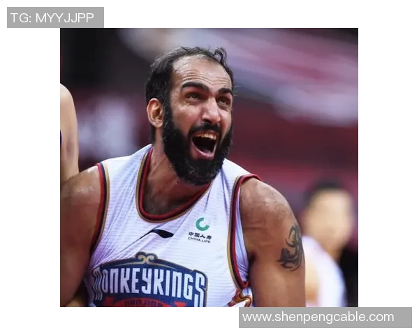 哈达迪：从篮球场上的巨星到人生旅途中的奋斗者