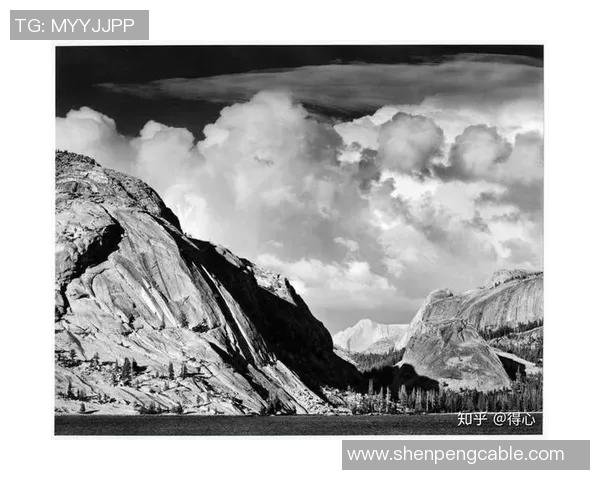 亚当斯的探索之旅：揭示科学与人文交汇的奥秘与启示