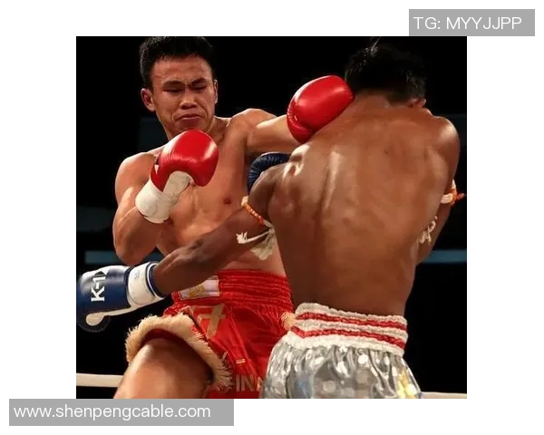 泰拳王播求的传奇人生与不屈精神：从拳台到人生的奋斗之路