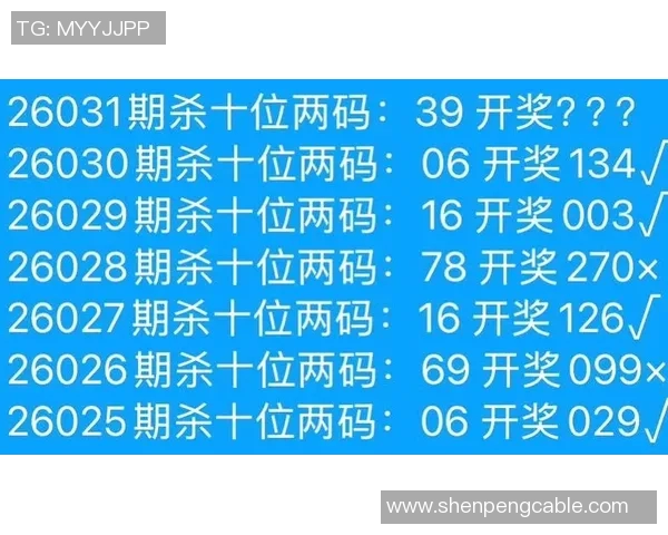 揭秘全年无错杀码公式的秘密与实用技巧分享