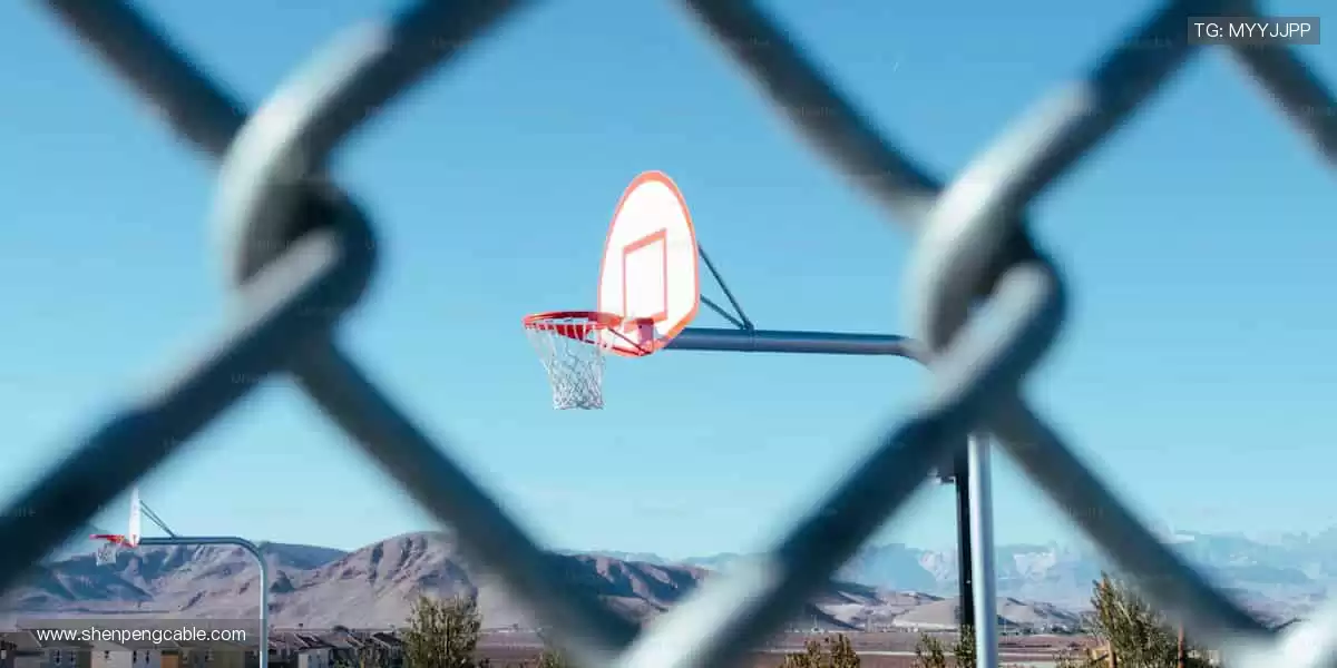 从训练场到直播间，我们与你同在！🏟️📱