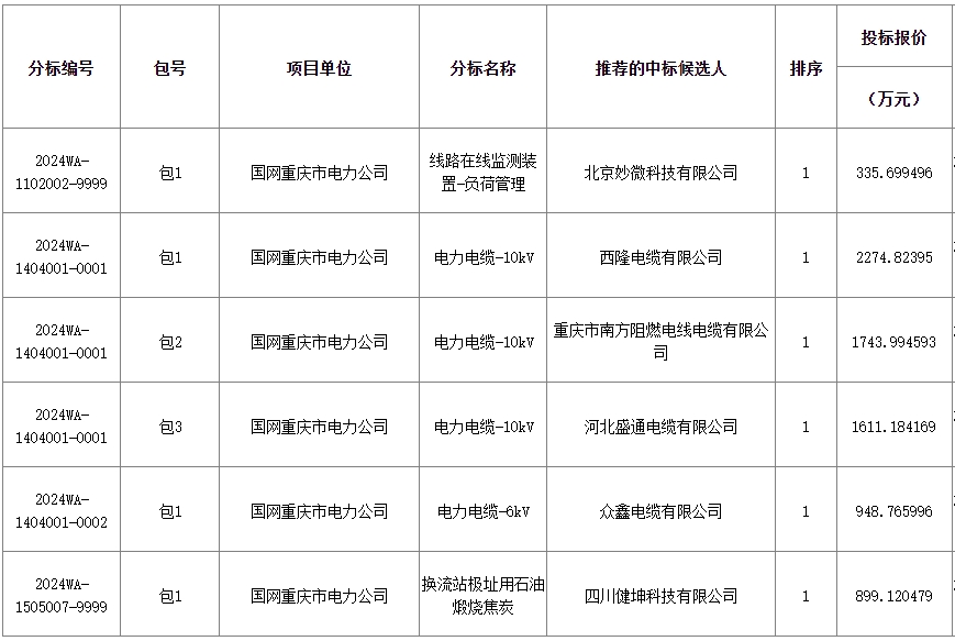 PP电子国网重庆电力2024年新增第一次物资公开招标中标候选人(图1)